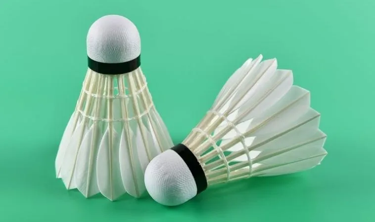 Chinh Phục Kèo Cược Cầu Lông Tại QQ88 Với Bí Kíp Từ Chuyên Gia 1 cầu lông tại QQ88