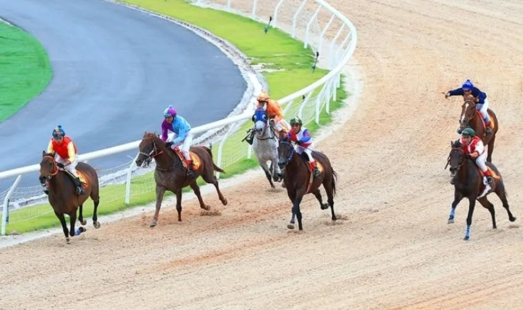 Thống Lĩnh Đường Đua Với Cá Cược Đua Ngựa QQ88 Đẳng Cấp Thượng Lưu 1 đua ngựa QQ88