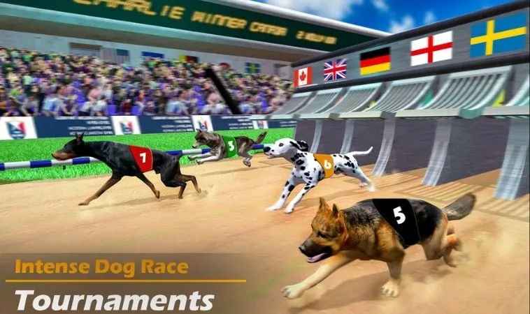 Cách chơi game nhanh Đua Chó QQ88