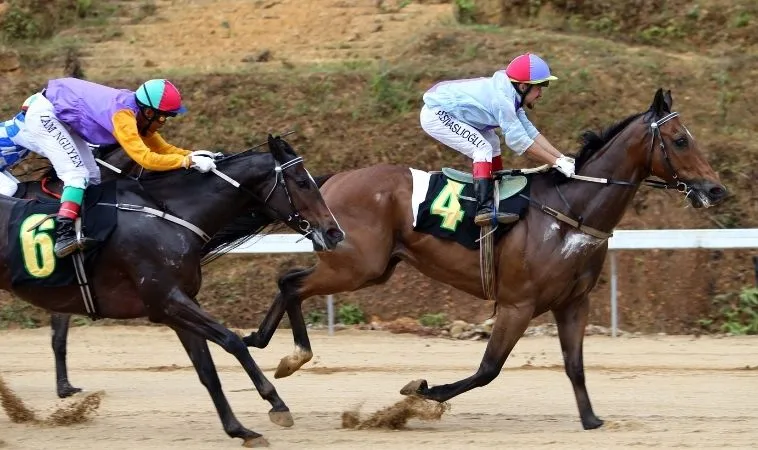 Thống Lĩnh Đường Đua Với Cá Cược Đua Ngựa QQ88 Đẳng Cấp Thượng Lưu 2 Cần tìm hiểu kỹ về bộ môn đua ngựa QQ88 trước khi cá cược